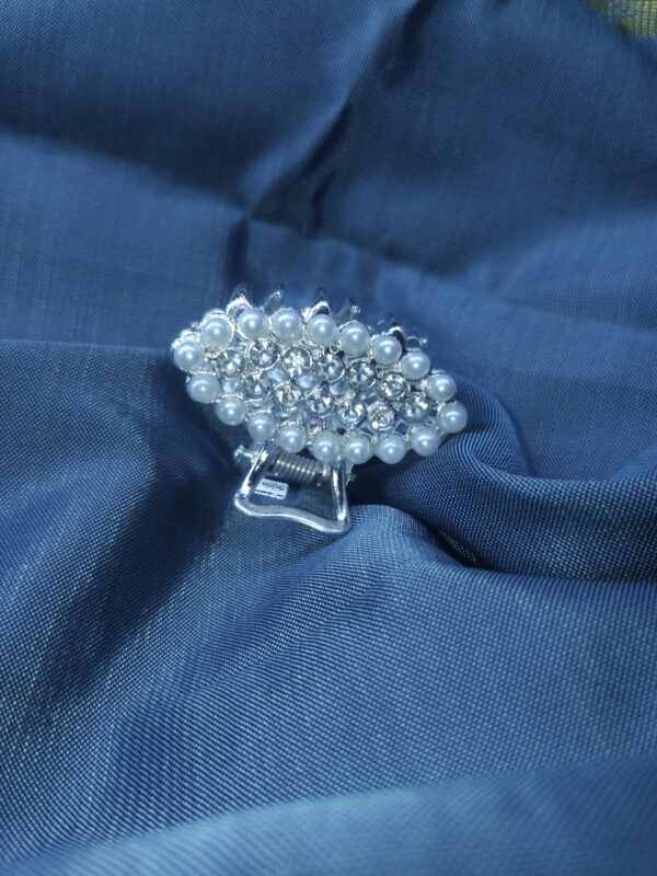 Elegant Pearl & Crystal Hair Clip