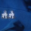 IMG_20260220_204707 Cute Panda Crystal Stud Earrings for Kids